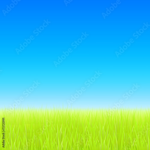 Green field and blue sky. Vector