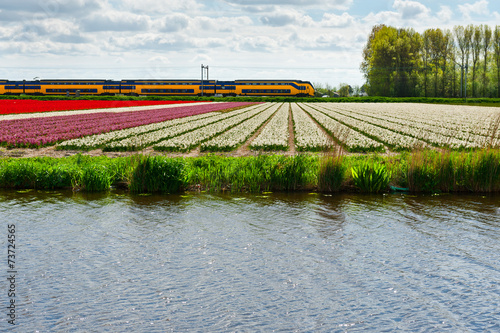 Train photo