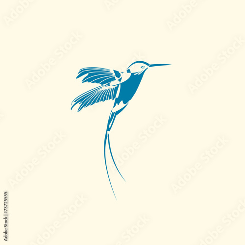 Silhouette of hummingbird