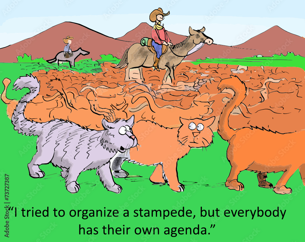 Εκτύπωση καμβά "I tried to organize... but everyone has their own agenda."