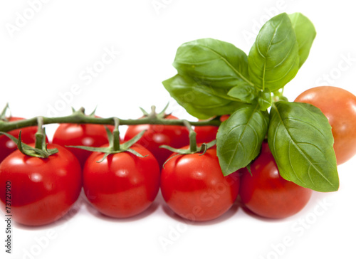 feuille de basilic sur grappe de tomates