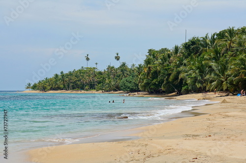 Central America beach with lush tropical vegetation