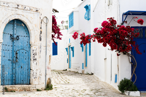 Blue doors, window and white wall of building in Sidi Bou Said #73730530