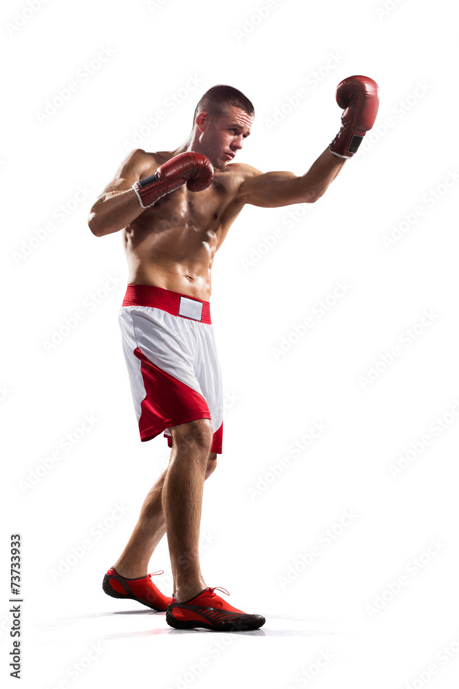 Professionl boxer is isolated on white Professionl boxer is isolated on white