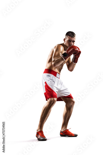 Professionl boxer is isolated on white photo