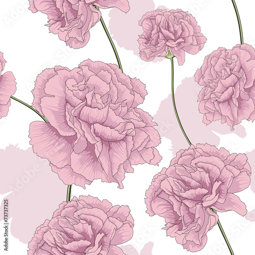 carnation pink flower