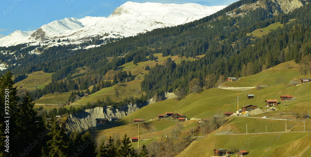 Canvas Print grisons