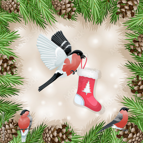 Pine cone with branch and bullfinch with socks