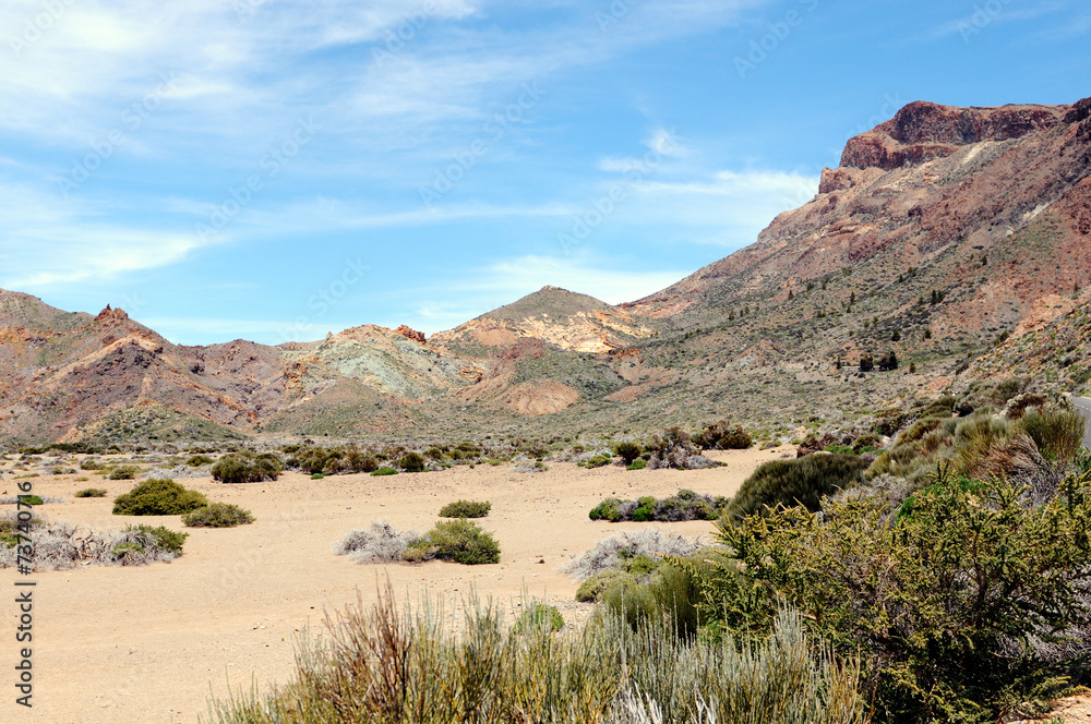 Fototapeta premium El Teide national park at Tenerife (Spain)
