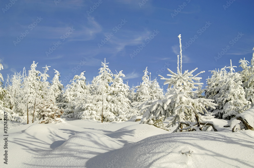 Obraz premium winterliche Traumlandchaft