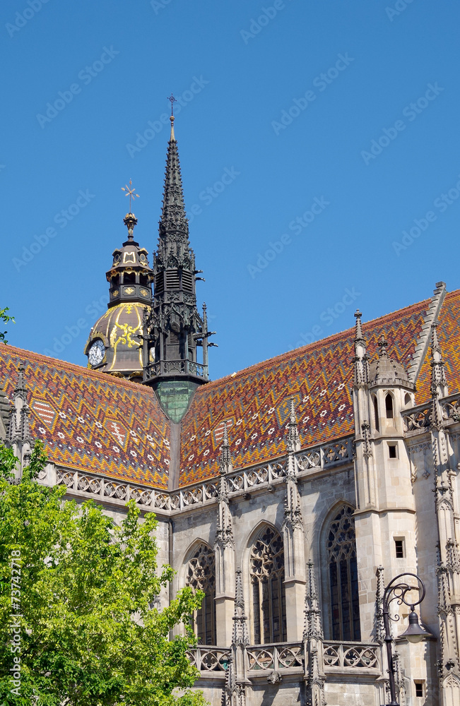 Obraz premium Cathedral of St. Elizabeth, Kosice, Slovakia