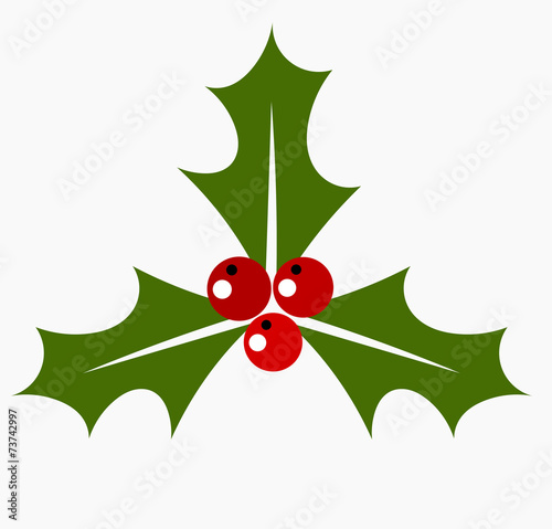 Holly leaf