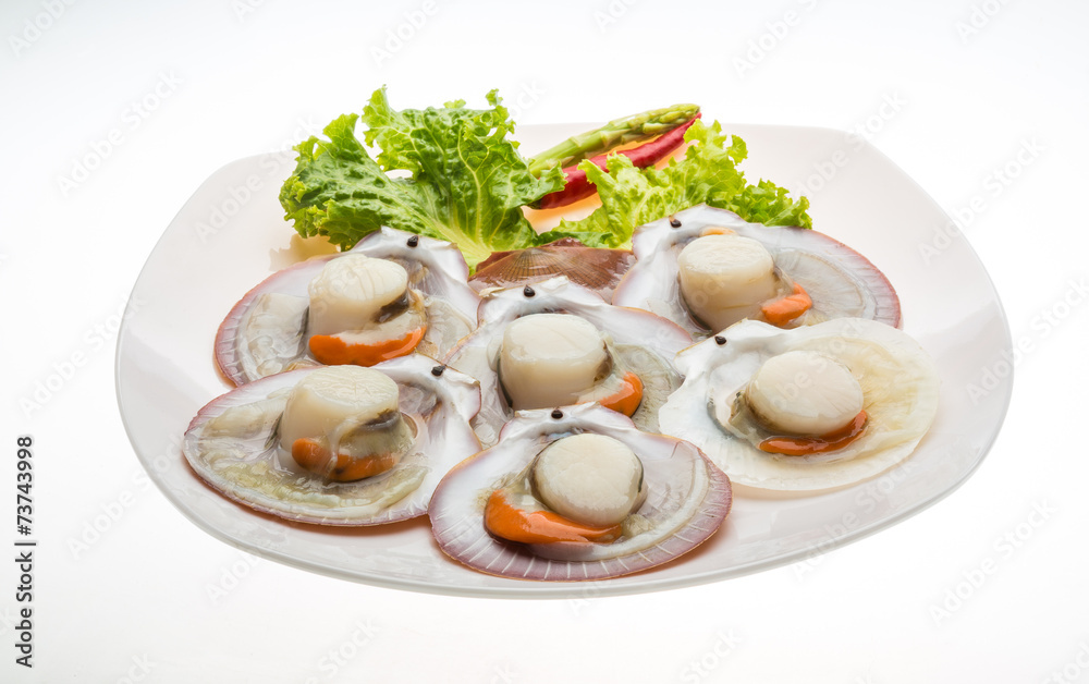 Raw fresh scallop