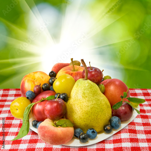 different delicious fruits against the sun