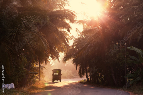 Road on Sri Lanka photo