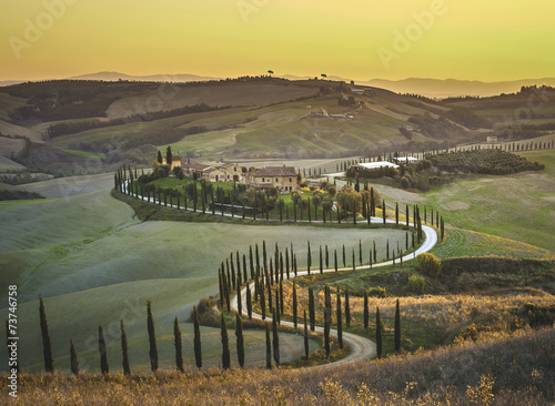 Cypress Tuscany in the beautiful landscapes of the setting sun.
