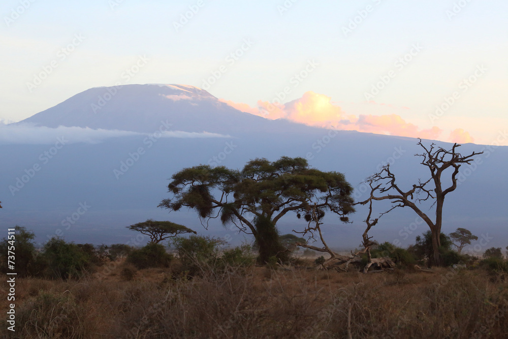 Fototapeta premium Kilimanjaro