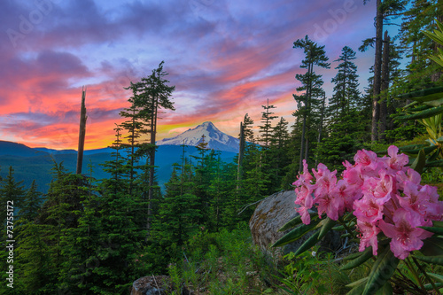 Beautiful Vista of Mount Hood in Oregon, USA. photo