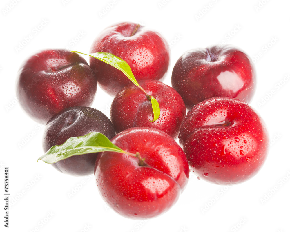 Red plums isolated on white background