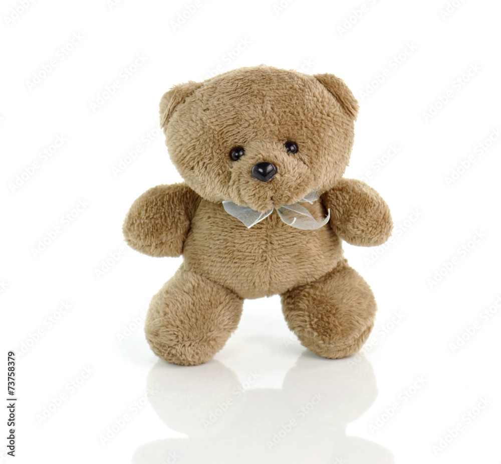 Fototapeta premium teddy bear