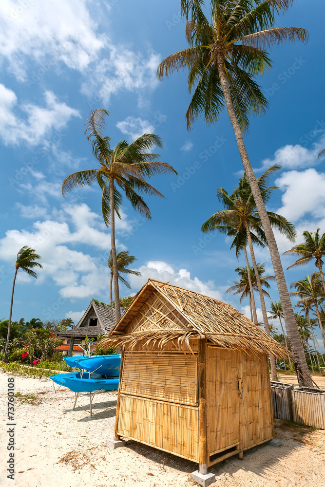beach, bungalow, palm tree