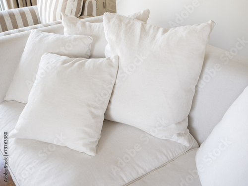 Pillows on sofa home interior decoration