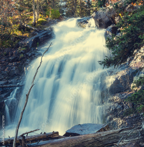 Waterfall in forest