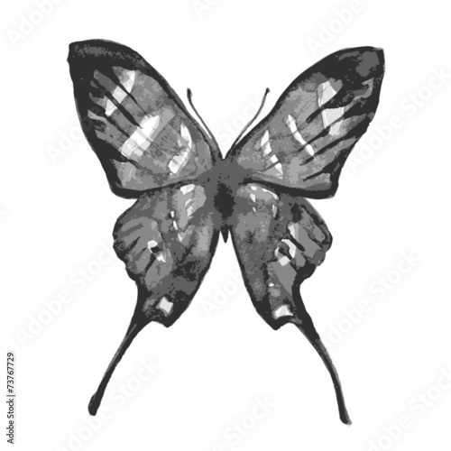 butterflies design