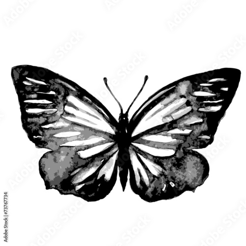 butterflies design