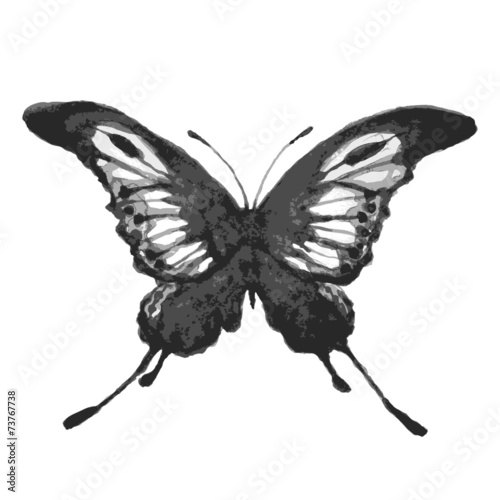 butterflies design