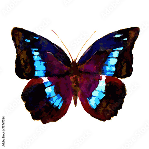 butterflies design