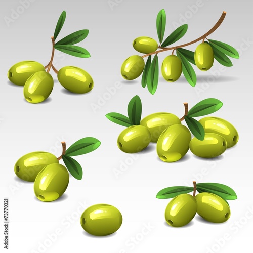 Wallpaper Mural Green olives set2 Torontodigital.ca