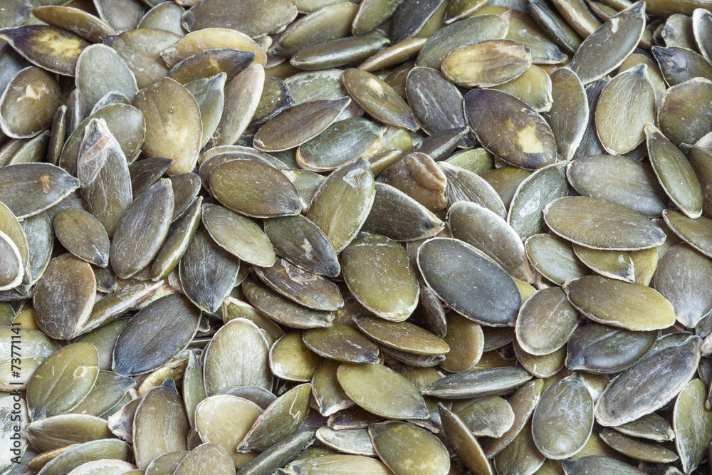 31 Best Graine De Courge Images Stock Photos Vectors Adobe Stock