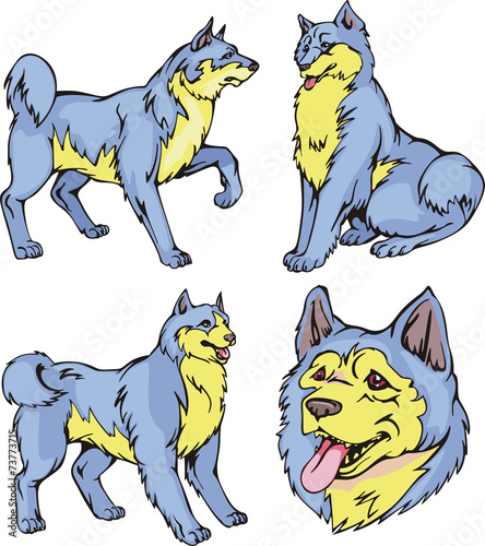 Laika dogs