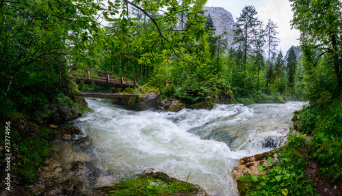 turbulent river through the woods