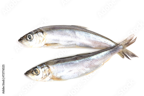 Fresh fish isolated on white