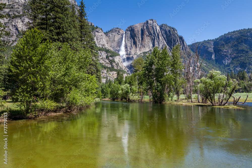 Along the river in Yosemite