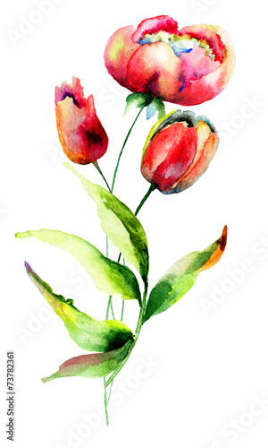 Tulips and Peony flowers