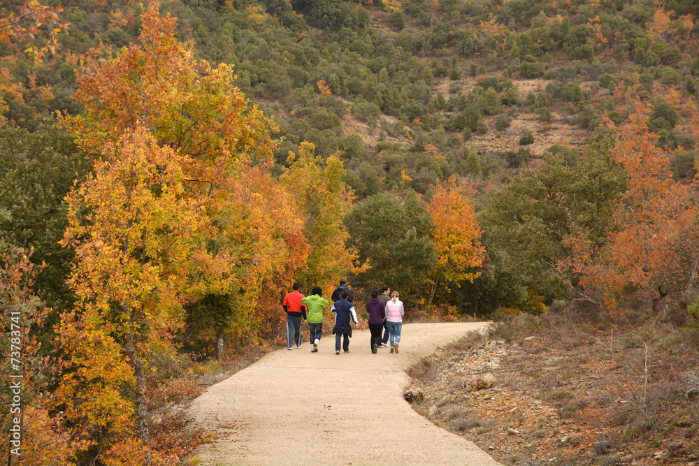 caminando por el monte en otoño caminando por el monte en otoño