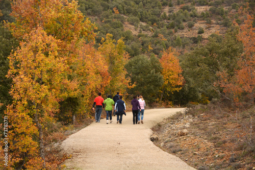 caminando por el monte en otoño