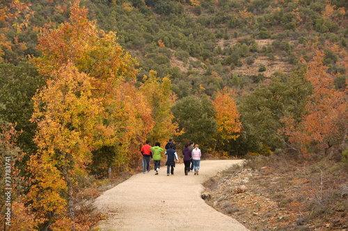 caminando por el monte en otoño