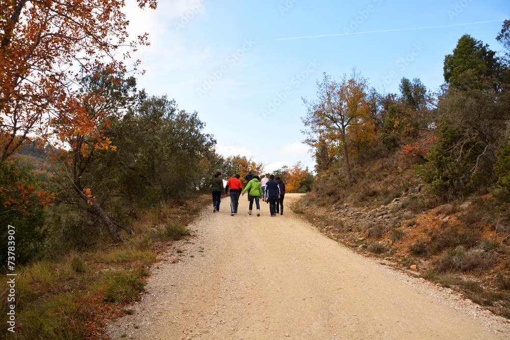 Fototapeta premium grupo de gente caminando por el monte
