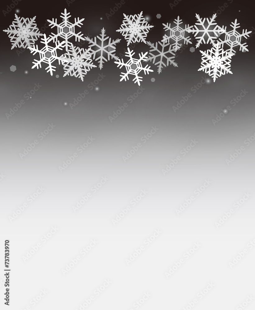 Fototapeta premium snow