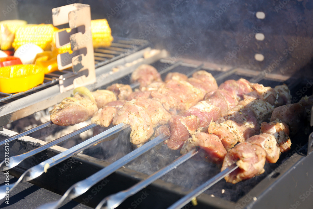 Skewers and vegetableq on barbecue grill, close-up Skewers and vegetableq on barbecue grill, close-up