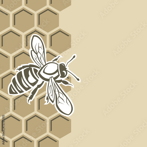 monochrome design with bee and of honeycomb