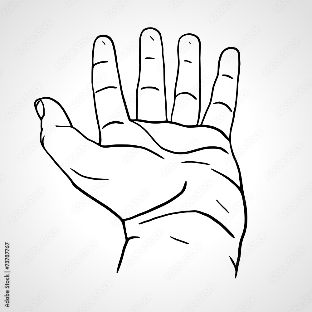 Open empty hand isolated on white Open empty hand isolated on white