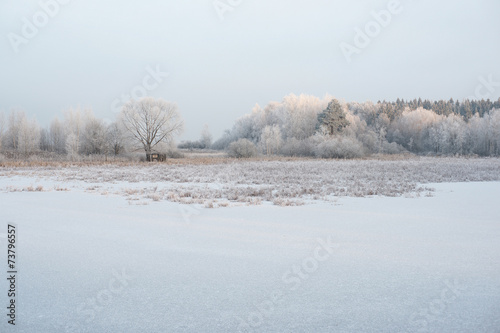 Wallpaper Mural Замёрзший пруд зимой Torontodigital.ca