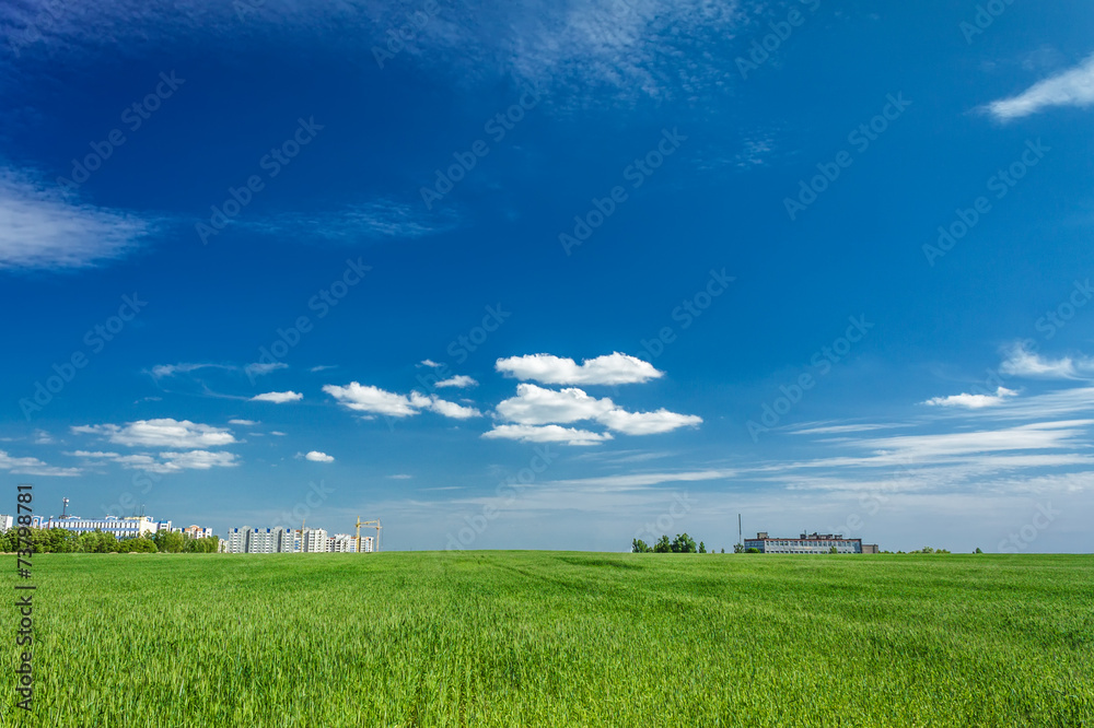 Obraz premium field of green grass and city on the horizon