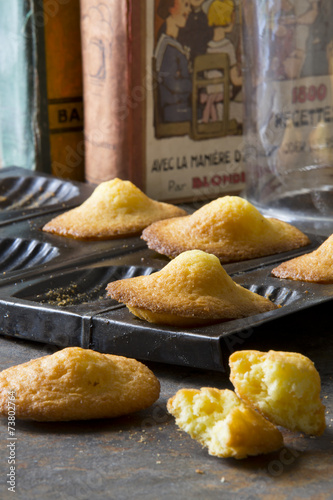 Madeleines à la vanille photo