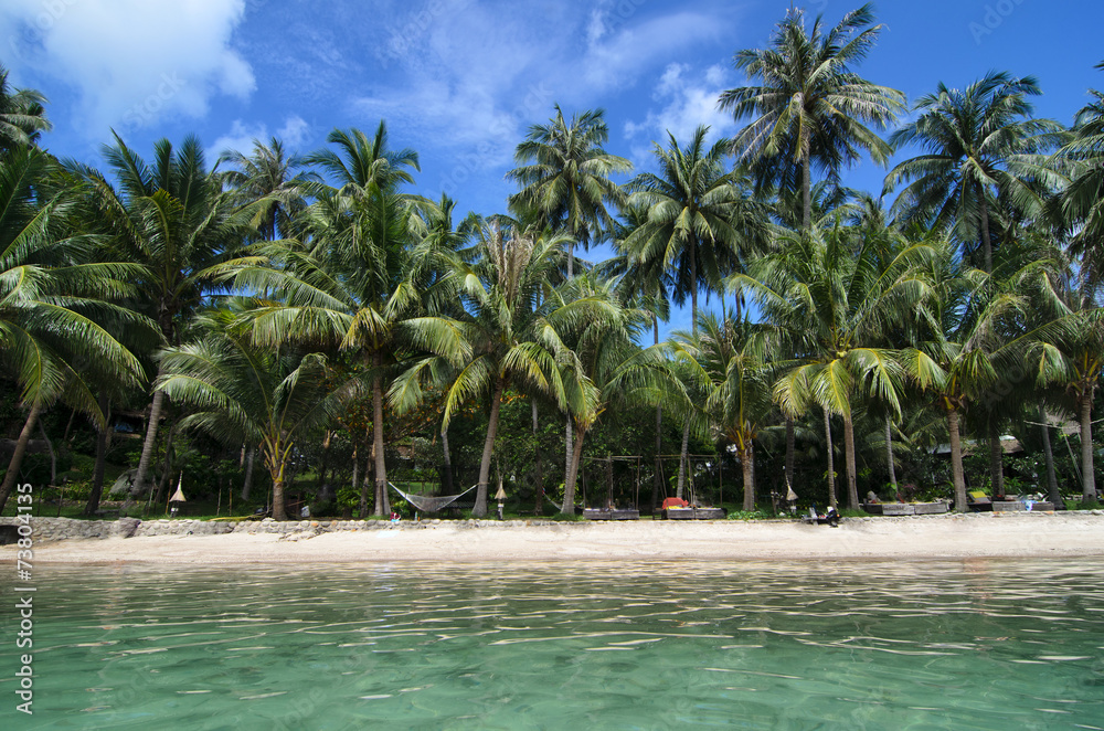 Lovely Beach with Turquoise Water and Green Palm Trees on a Trop